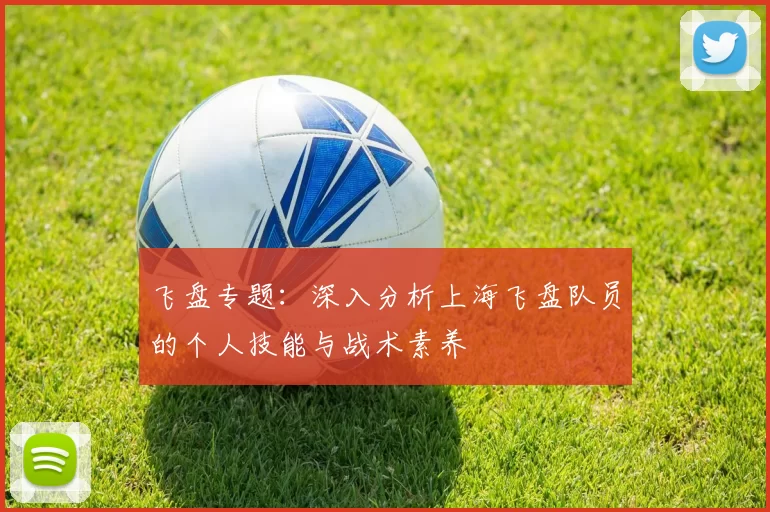 飞盘专题：深入分析上海飞盘队员的个人技能与战术素养