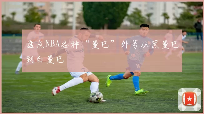盘点NBA各种“曼巴”外号从黑曼巴到白曼巴