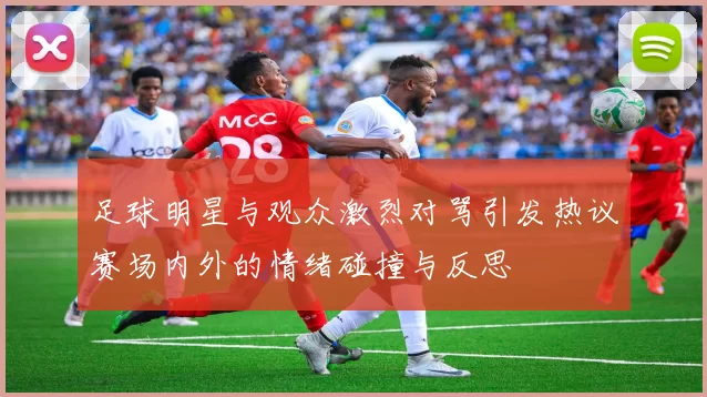 足球明星与观众激烈对骂引发热议赛场内外的情绪碰撞与反思