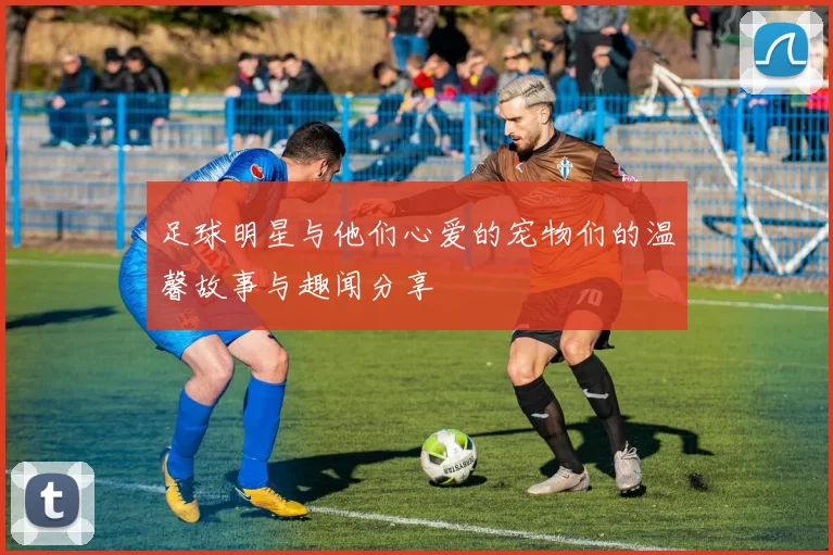 足球明星与他们心爱的宠物们的温馨故事与趣闻分享