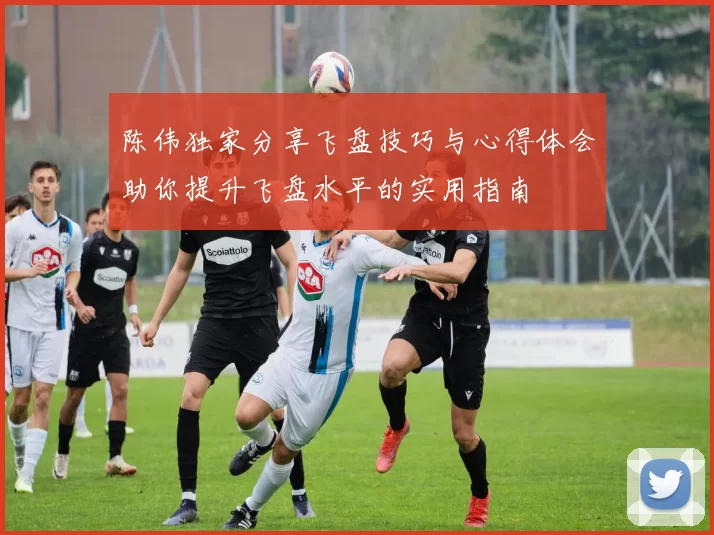 陈伟独家分享飞盘技巧与心得体会助你提升飞盘水平的实用指南