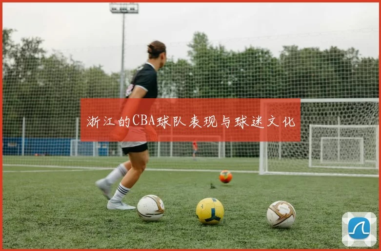 浙江的CBA球队表现与球迷文化