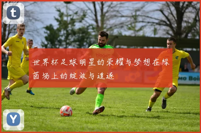 世界杯足球明星的荣耀与梦想在绿茵场上的绽放与追逐
