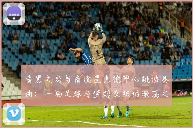 黄黑之恋与南境星光德甲心跳协奏曲：一场足球与梦想交织的激荡之旅
