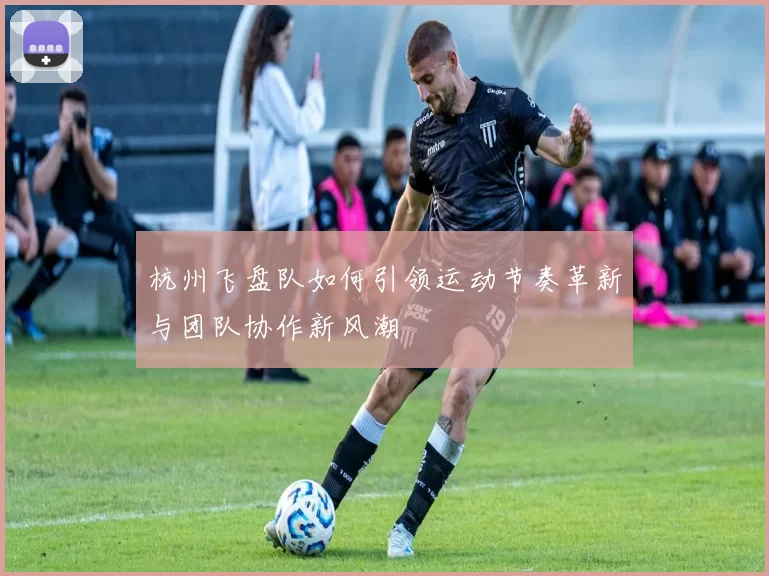 杭州飞盘队如何引领运动节奏革新与团队协作新风潮