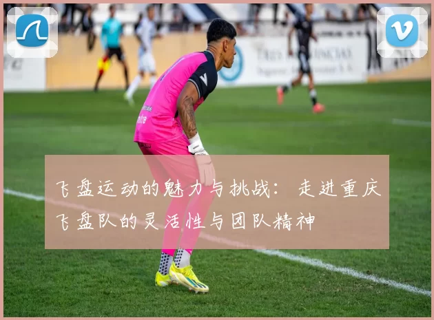 飞盘运动的魅力与挑战：走进重庆飞盘队的灵活性与团队精神