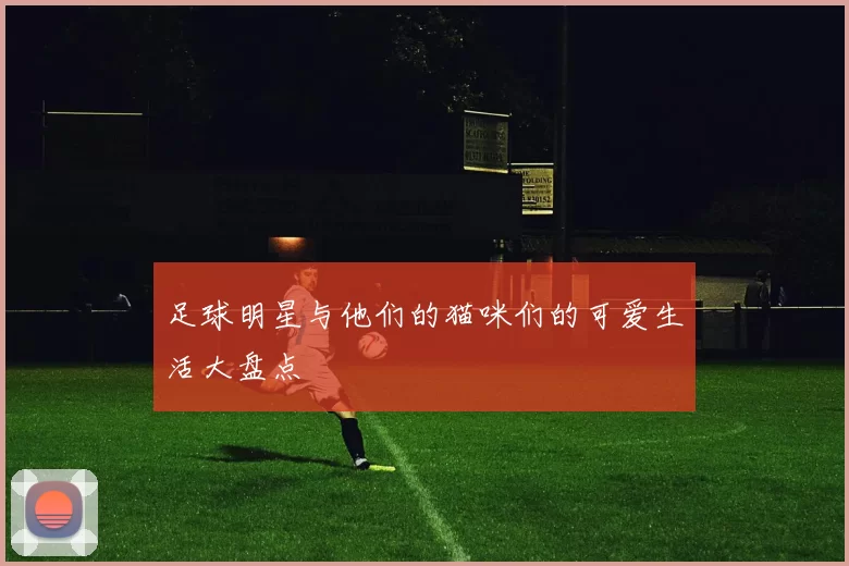 足球明星与他们的猫咪们的可爱生活大盘点